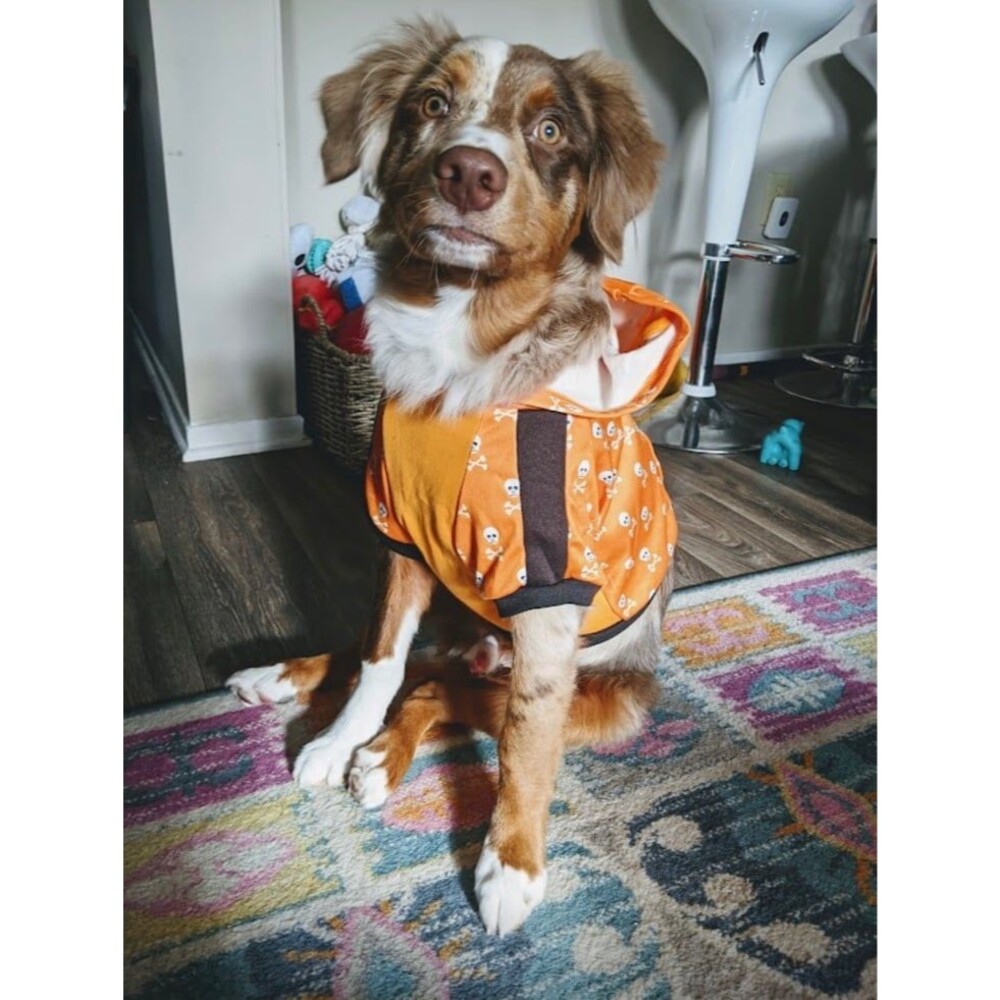 Dog Halloween Orange Skull Hoodie